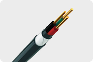 聚氯乙烯绝缘钢带铠装聚氯乙烯护套电力电缆 VV220.6/1.0kv